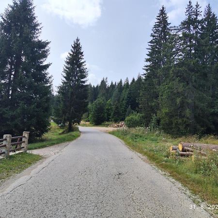 Vila Carobna Suma Tara Bajina Basta Eksteriør bilde